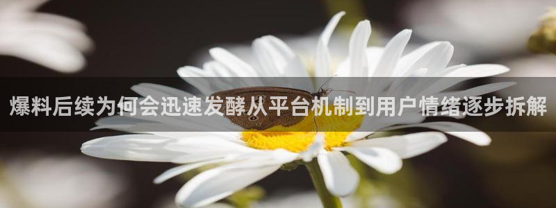 91吃瓜今日新闻:爆料后续为何会迅速发酵从平台机制到用户情绪逐步拆解