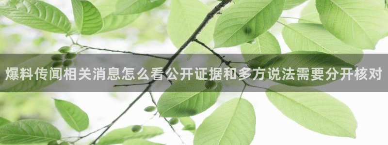 吃瓜网页入口：爆料传闻相关消息怎么看公开证据和多方说法需要分开核对