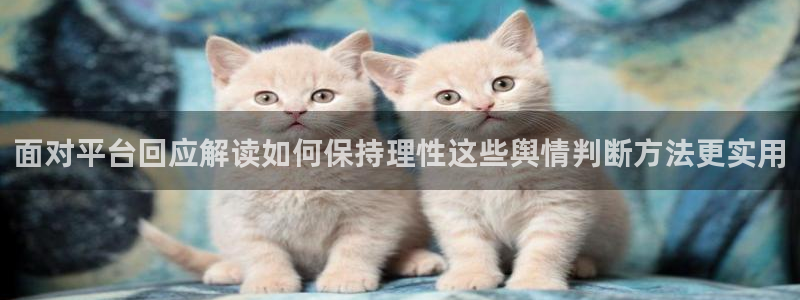 91吃瓜网络热门:面对平台回应解读如何保持理性这些舆情判断方法更实用