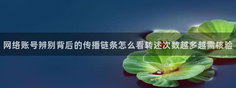 吃瓜今日事件:网络账号辨别背后的传播链条怎么看转述次数越多越需核验