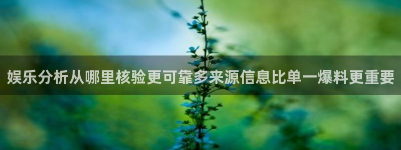 吃瓜最新热点:娱乐分析从哪里核验更可靠多来源信息比单一爆料更重要