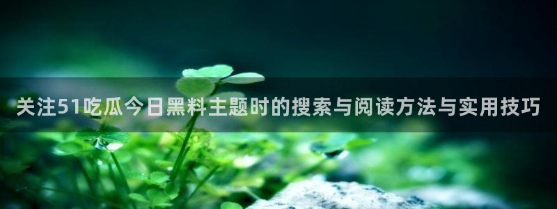 吃瓜网络热点